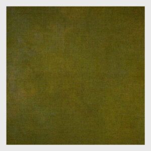 Green Wool 29C