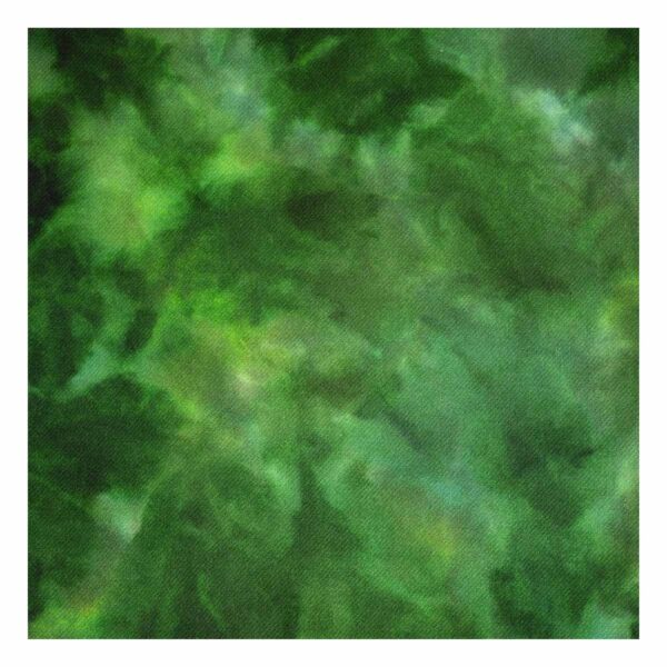 Green Wool 88